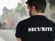 Formation et  mise à disposition de personnels : agents de sécurité, de sécurité incendie (SSIAP 1, 2 et 3), cynophiles ou maîtres-chien,  d'accueil, d'Intervention (rondes, interventions sur alarme) et opérateur de télésurveillance - image 3