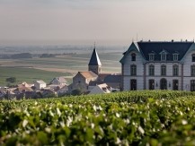 Notre vignoble est composé de trois cépages : le chardonnay, le pinot meunier et le pinot noir - image 4