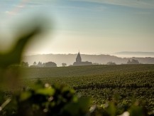 Pour réaliser notre prestigieux breuvage, nous travaillons nous-même notre vignoble - image 5