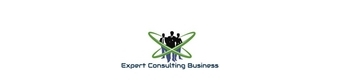 EXPERT CONSULTING BUSINESS