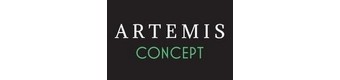 ARTEMIS CONCEPT AGENCEMENT RENOVATION