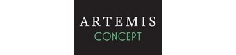 ARTEMIS CONCEPT AGENCEMENT RENOVATION